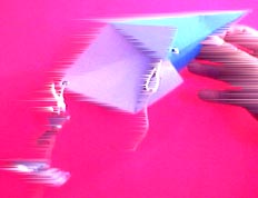 Kite4