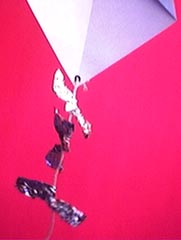 Kite6